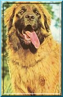 leo12