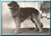leo16