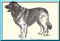 leo30
