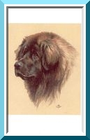 leo33