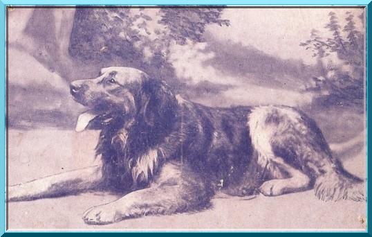leo85