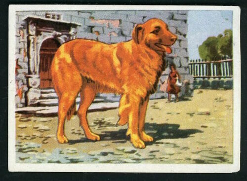 Carte Espagne 1961 Editorial Triunfo