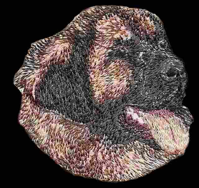 broderie1