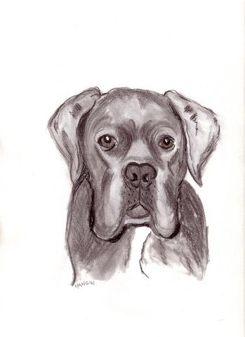 cane1
