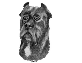 cane3