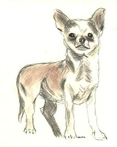 chito1