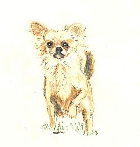 chito2
