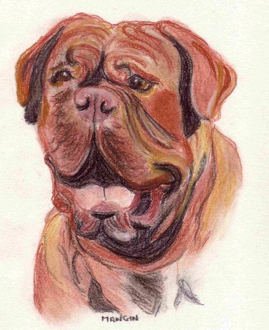 dogbo