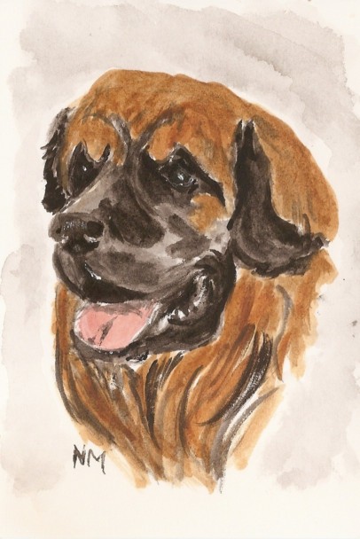 leo5