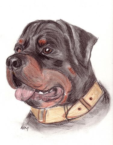 rott