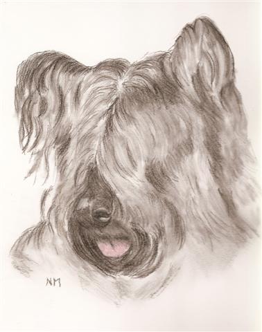 skye