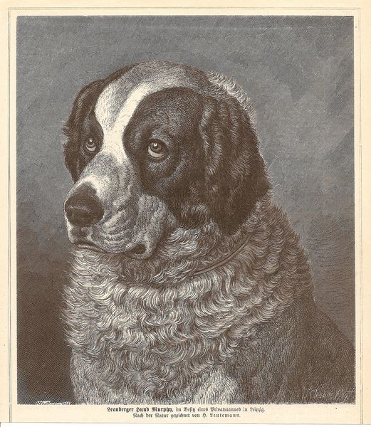 1876