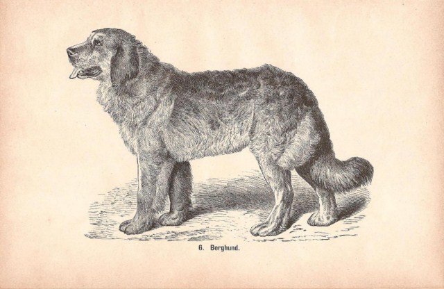leo18942