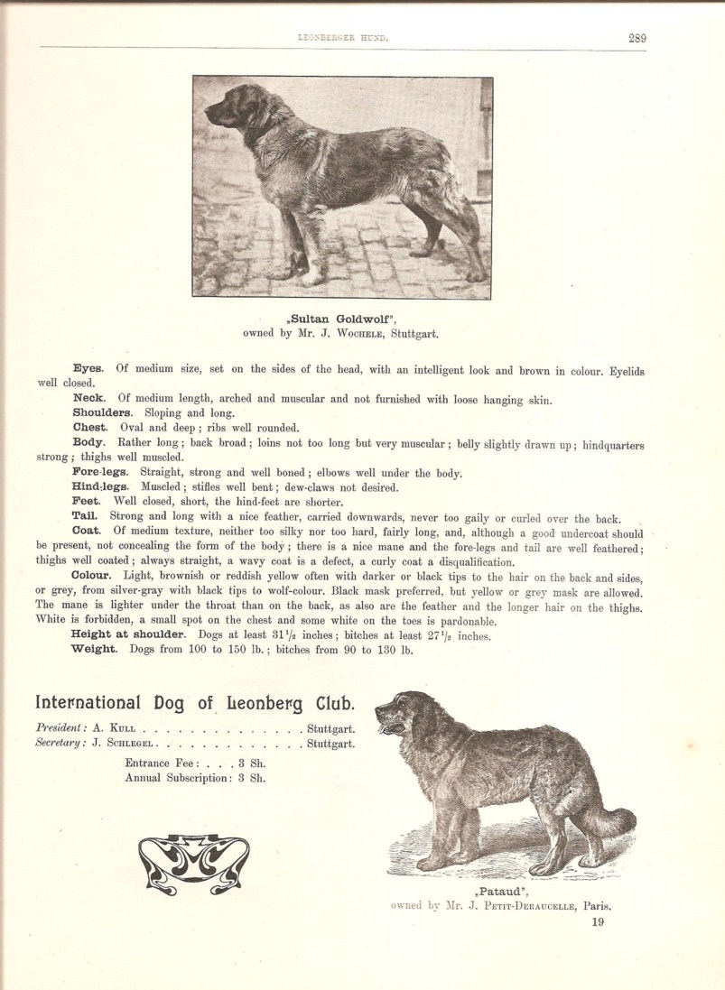 leo19043