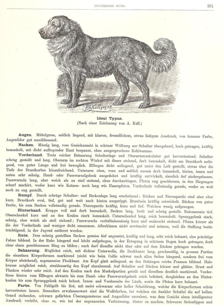 leo19045