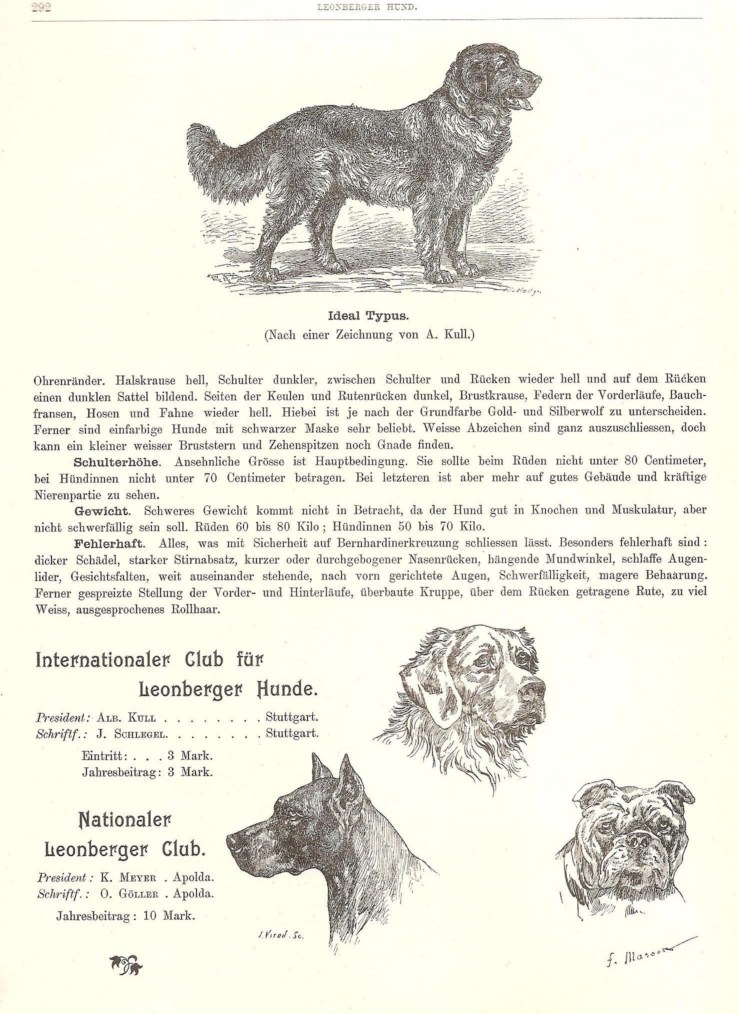 leo19046