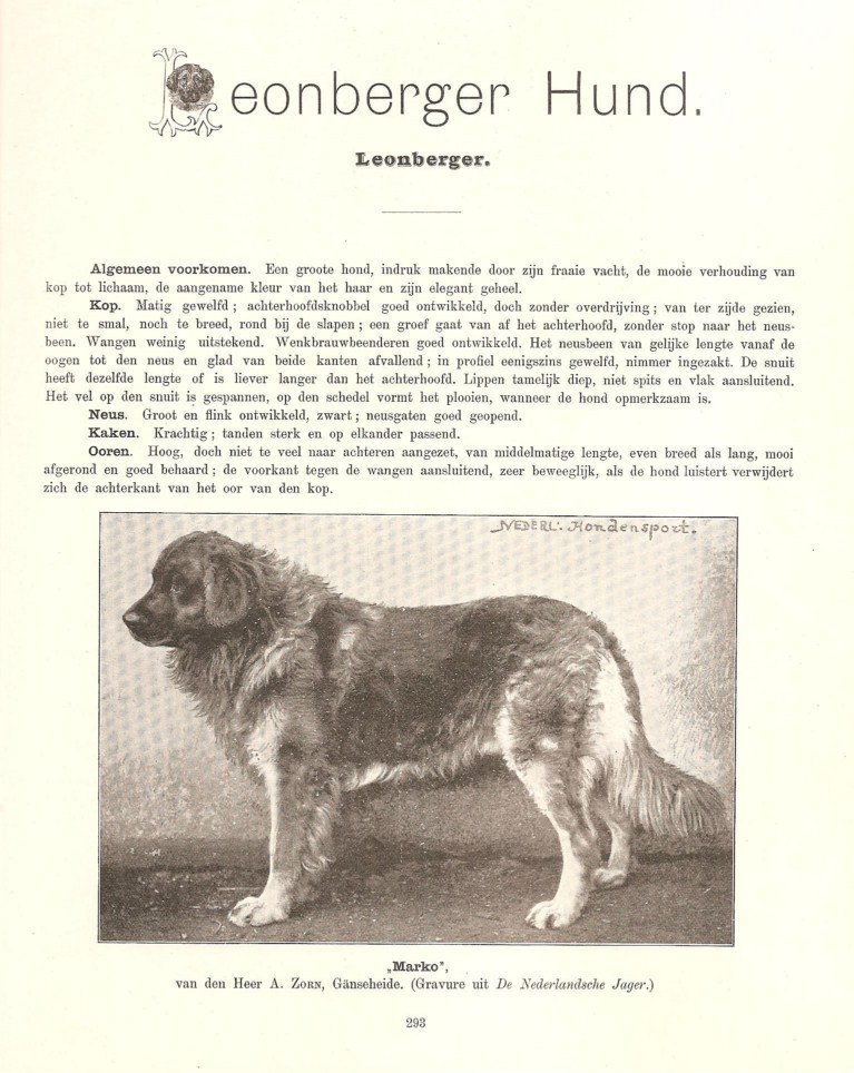 leo19048