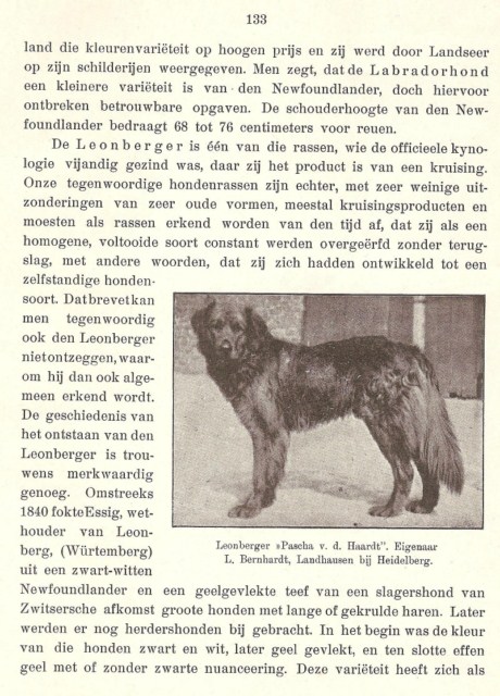 leo19051
