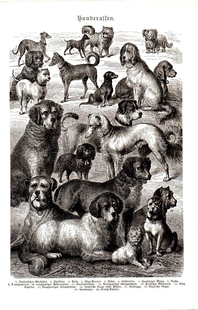 1893