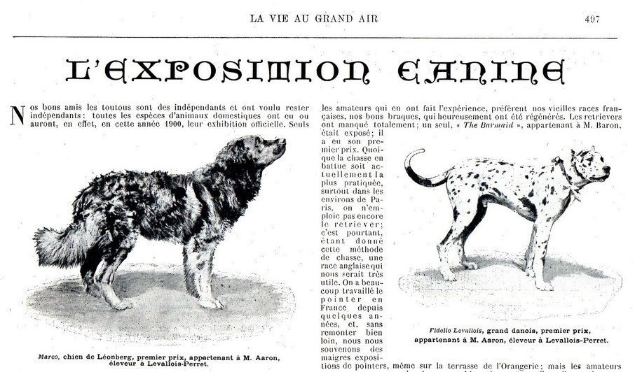 1900