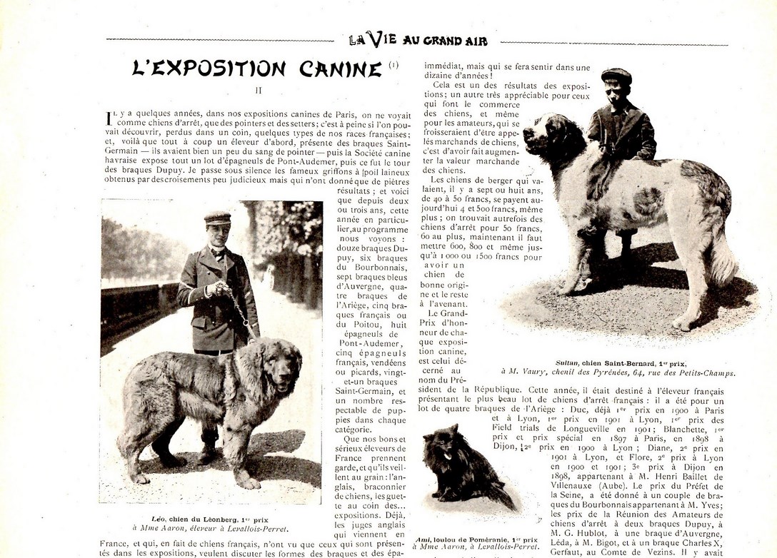 1901