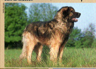 1993
