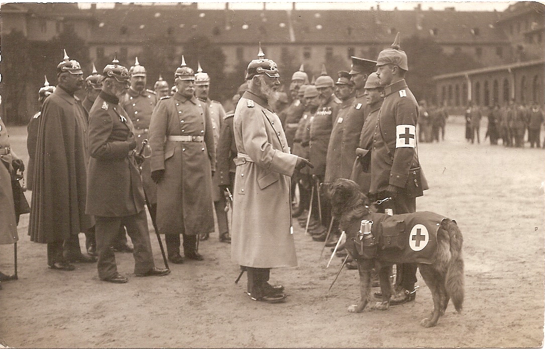 1914 -1918