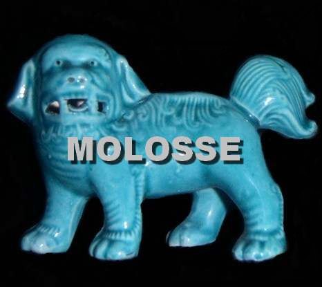 molosse