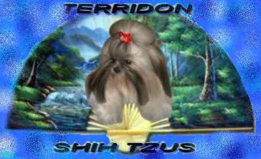 terridon