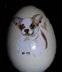 oeuf1