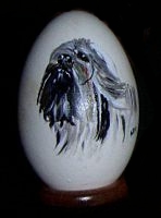 oeuf4