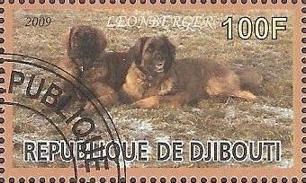 tileo20a