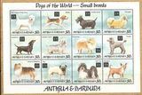 timbres3