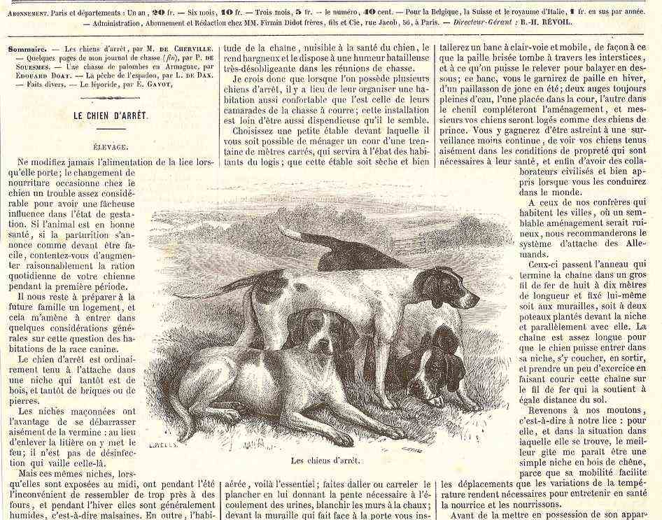 chasse18682